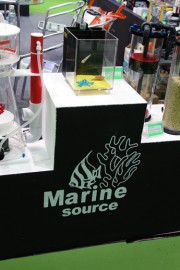 1721359419_983171743