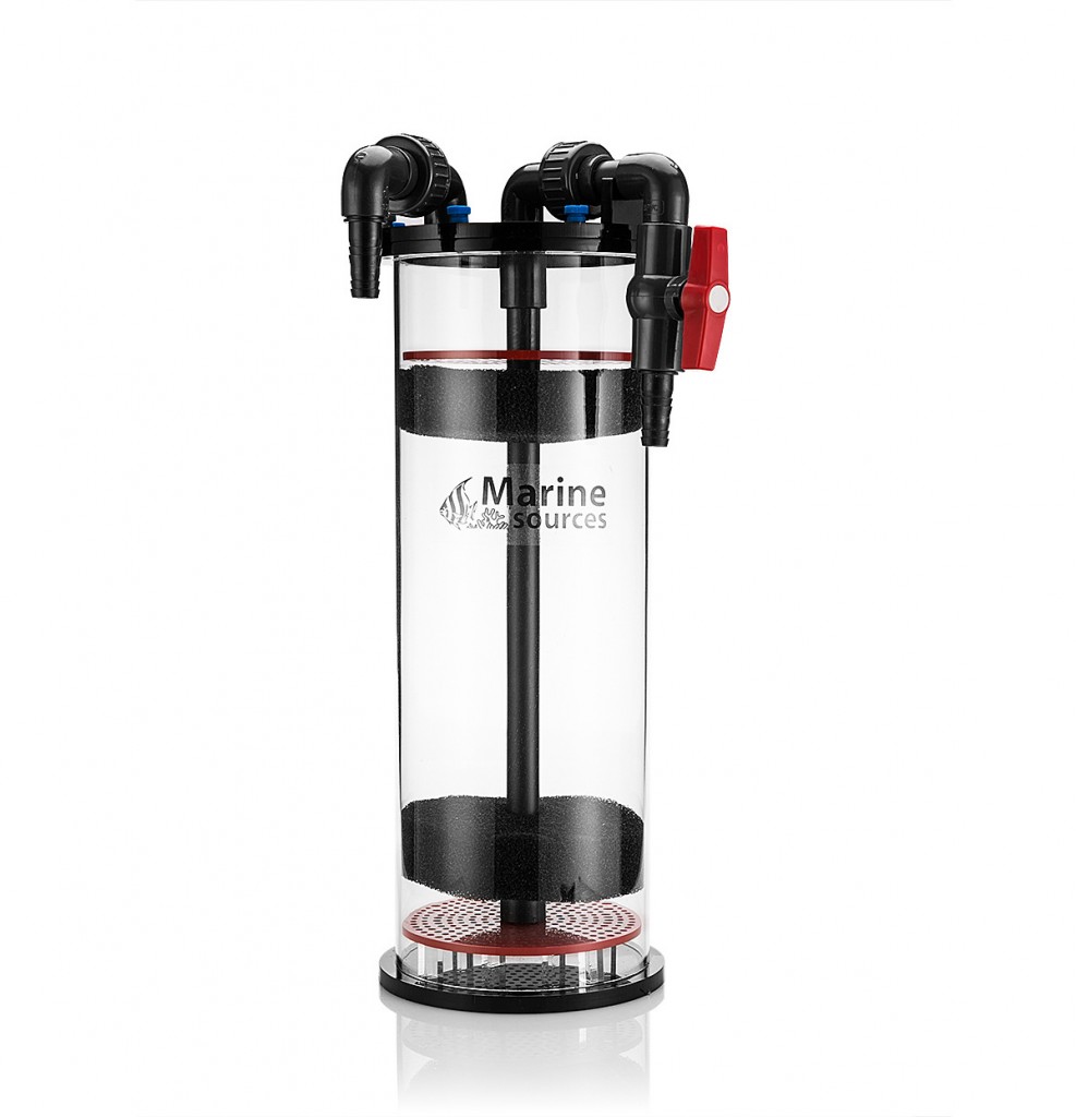 1886794994_983171743