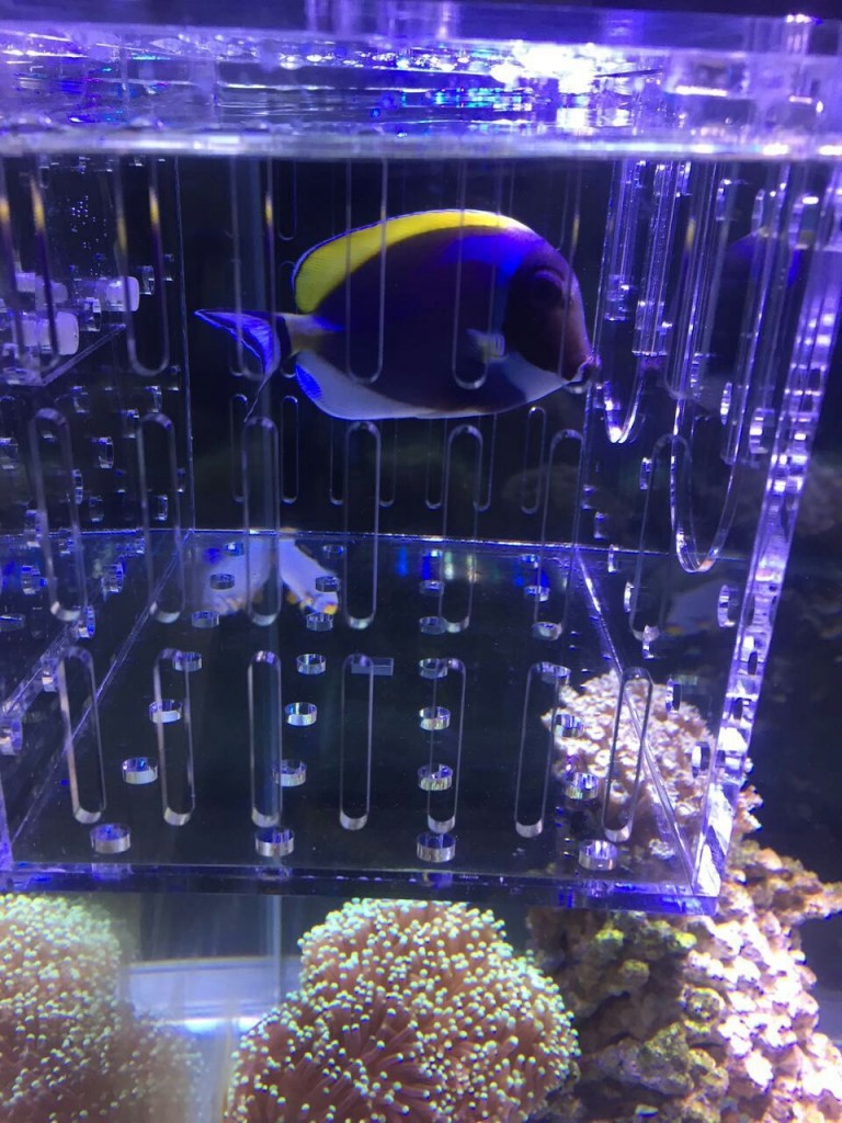 mmexport1463068265438