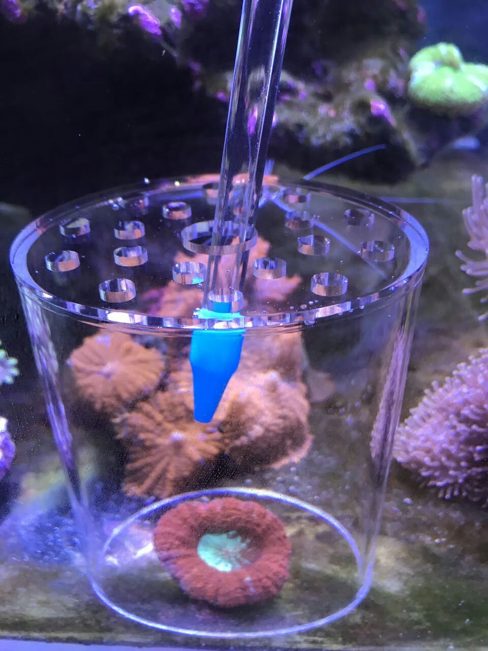 mmexport1504069034310