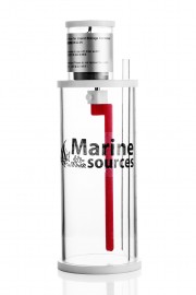 IMG_1977